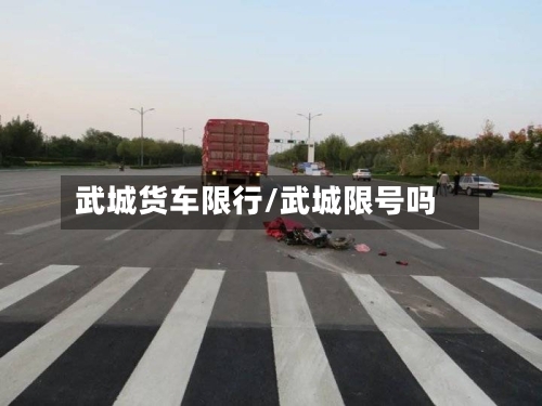 武城货车限行/武城限号吗