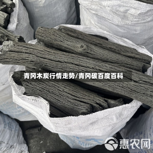 青冈木炭行情走势/青冈碳百度百科