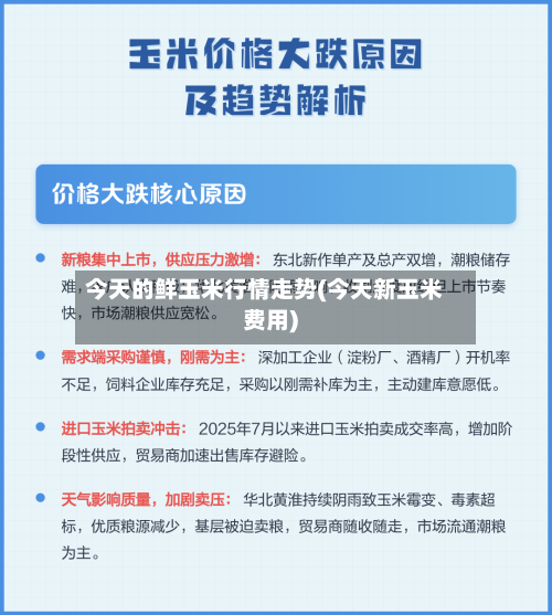 今天的鲜玉米行情走势(今天新玉米费用)