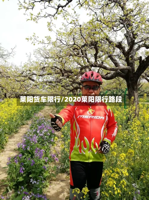 莱阳货车限行/2020莱阳限行路段
