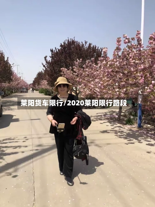 莱阳货车限行/2020莱阳限行路段