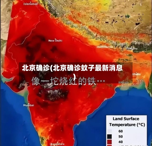 北京确诊(北京确诊蚊子最新消息)