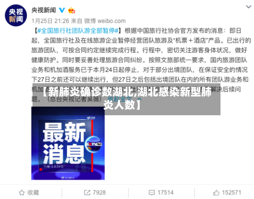 【新肺炎确诊数湖北,湖北感染新型肺炎人数】
