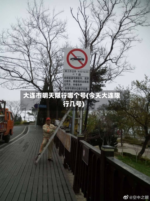 大连市明天限行哪个号(今天大连限行几号)
