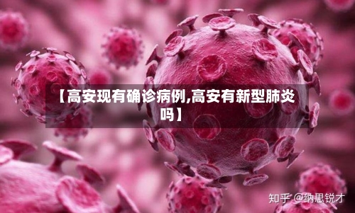 【高安现有确诊病例,高安有新型肺炎吗】