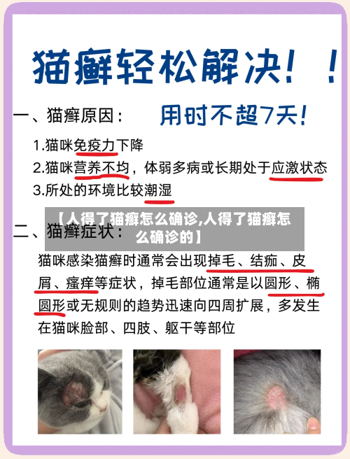 【人得了猫癣怎么确诊,人得了猫癣怎么确诊的】