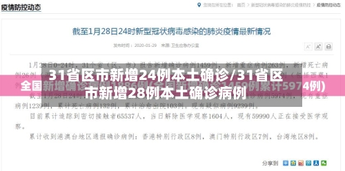 31省区市新增24例本土确诊/31省区市新增28例本土确诊病例