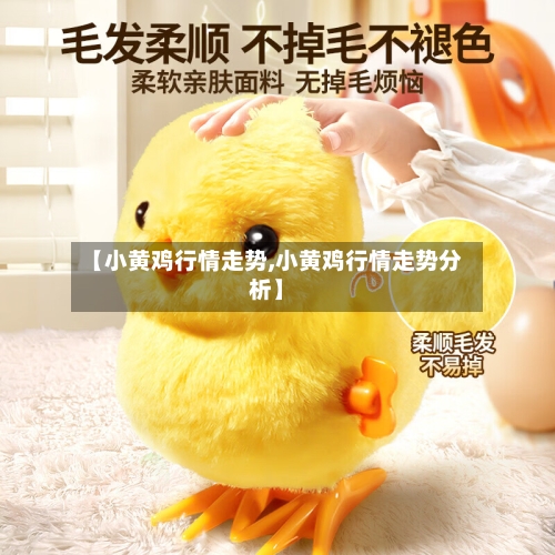 【小黄鸡行情走势,小黄鸡行情走势分析】