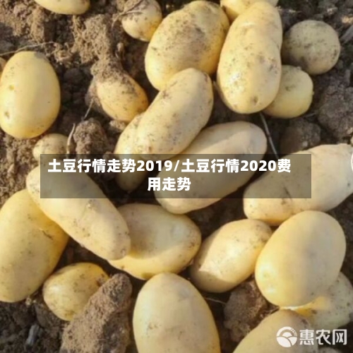 土豆行情走势2019/土豆行情2020费用走势