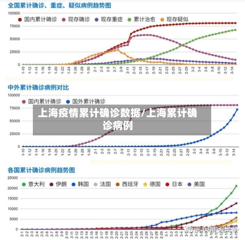 上海疫情累计确诊数据/上海累计确诊病例