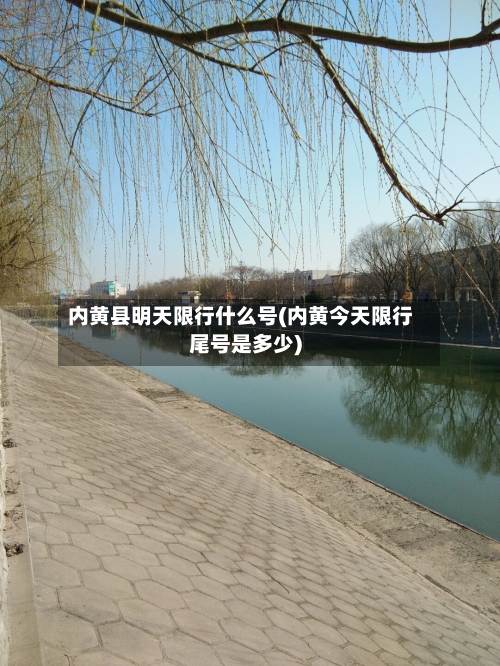 内黄县明天限行什么号(内黄今天限行尾号是多少)