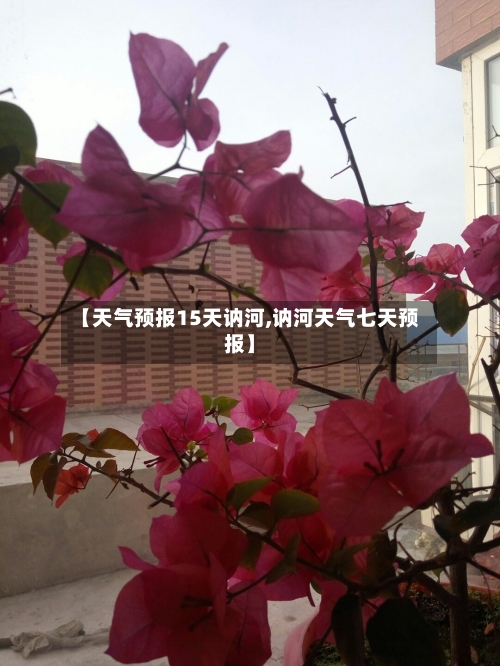 【天气预报15天讷河,讷河天气七天预报】