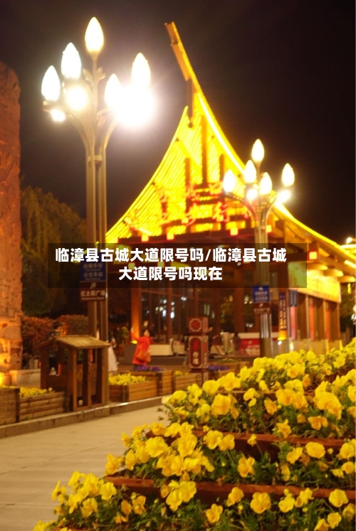 临漳县古城大道限号吗/临漳县古城大道限号吗现在