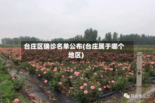 台庄区确诊名单公布(台庄属于哪个地区)
