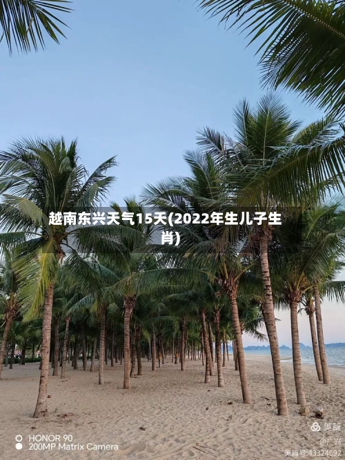 越南东兴天气15天(2022年生儿子生肖)