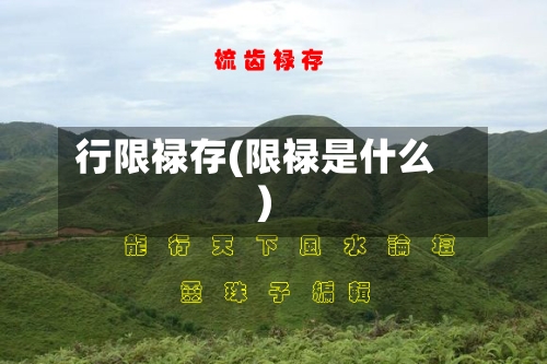 行限禄存(限禄是什么)