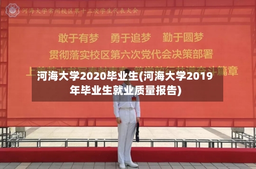 河海大学2020毕业生(河海大学2019年毕业生就业质量报告)