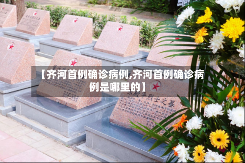 【齐河首例确诊病例,齐河首例确诊病例是哪里的】