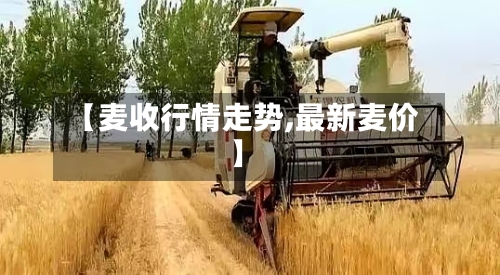 【麦收行情走势,最新麦价】