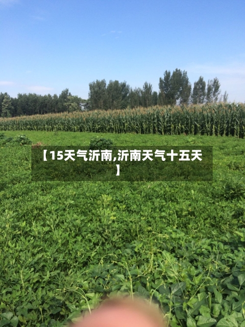 【15天气沂南,沂南天气十五天】