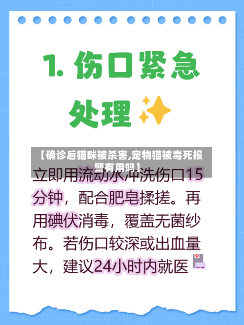 【确诊后猫咪被杀害,宠物猫被毒死报警有用吗】