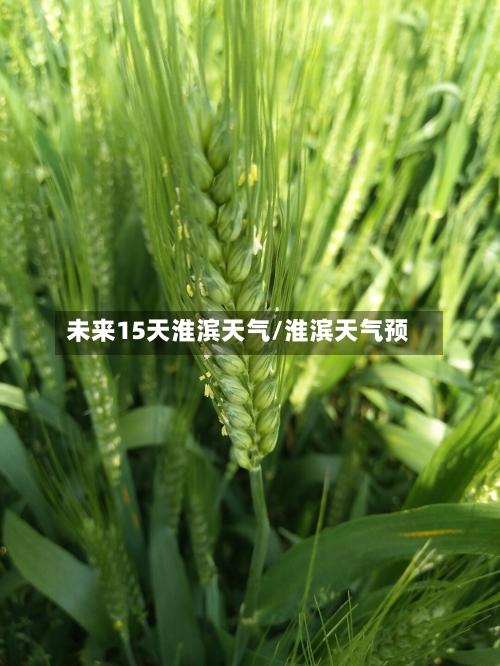 未来15天淮滨天气/淮滨天气预