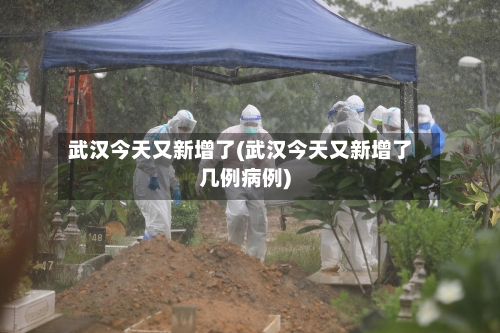 武汉今天又新增了(武汉今天又新增了几例病例)
