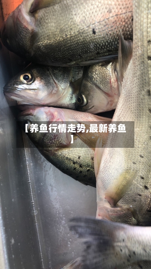【养鱼行情走势,最新养鱼】