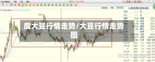 度大豆行情走势/大豆行情走势图