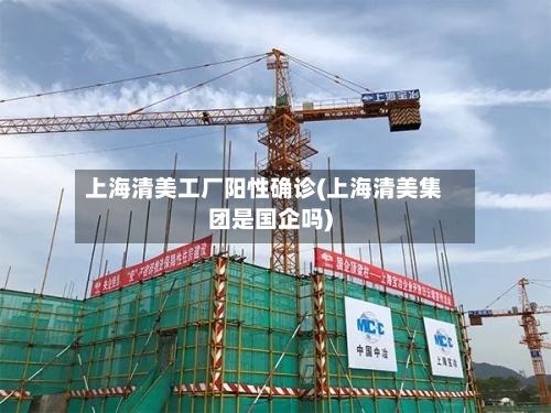 上海清美工厂阳性确诊(上海清美集团是国企吗)