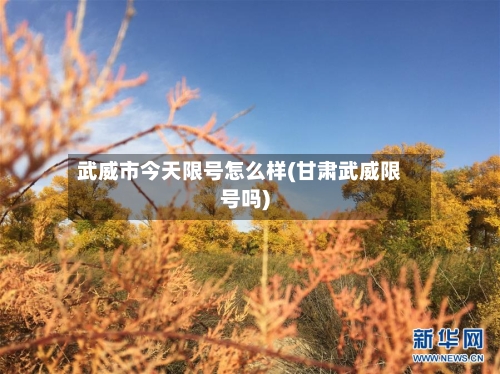 武威市今天限号怎么样(甘肃武威限号吗)
