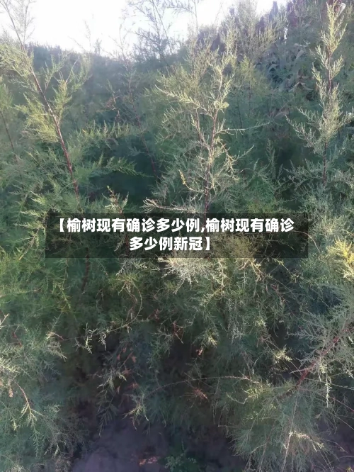 【榆树现有确诊多少例,榆树现有确诊多少例新冠】