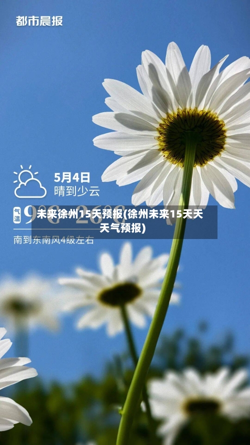 未来徐州15天预报(徐州未来15天天天气预报)