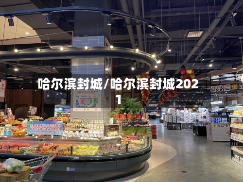 哈尔滨封城/哈尔滨封城2021