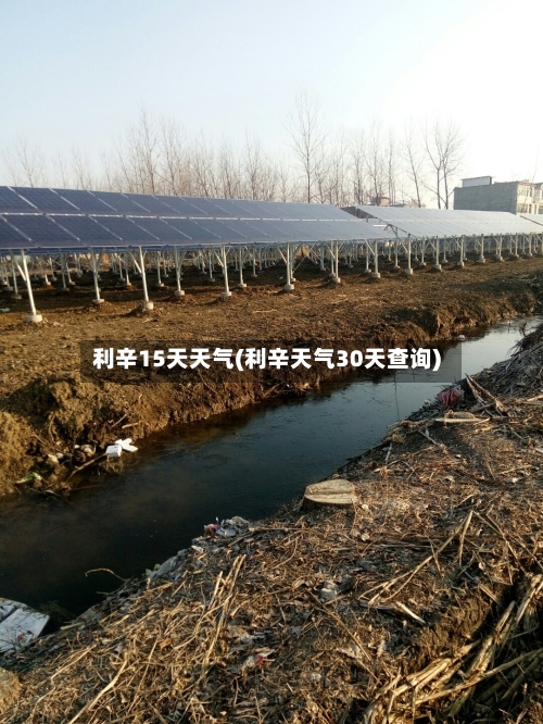 利辛15天天气(利辛天气30天查询)