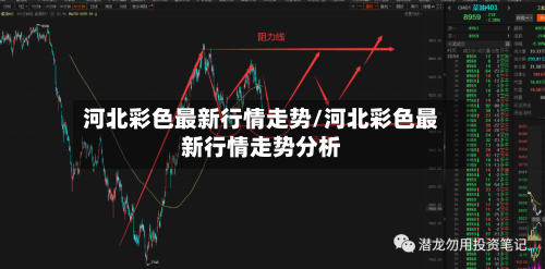 河北彩色最新行情走势/河北彩色最新行情走势分析