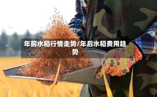 年前水稻行情走势/年后水稻费用趋势