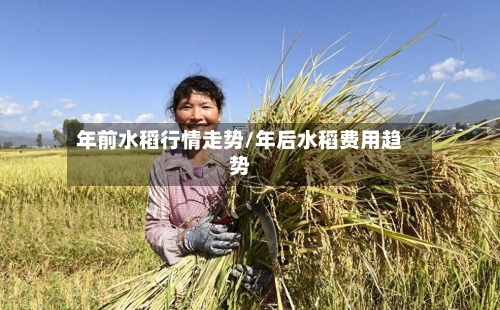 年前水稻行情走势/年后水稻费用趋势