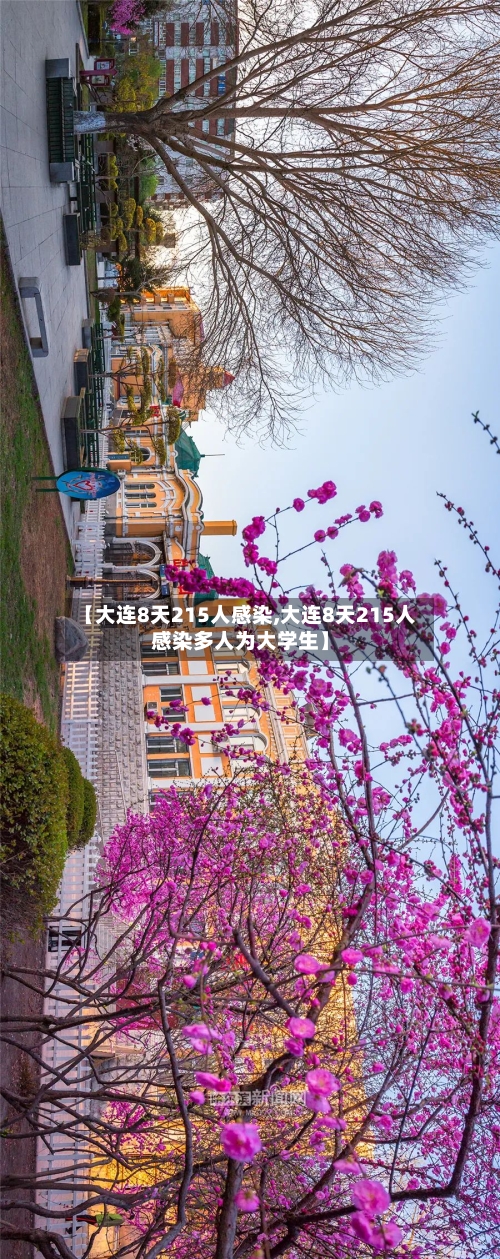 【大连8天215人感染,大连8天215人感染多人为大学生】