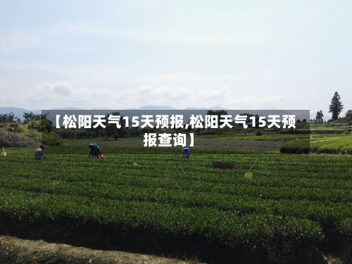 【松阳天气15天预报,松阳天气15天预报查询】