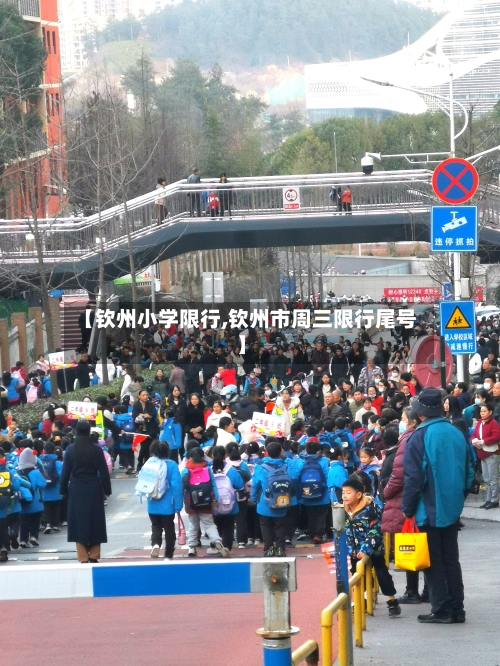 【钦州小学限行,钦州市周三限行尾号】
