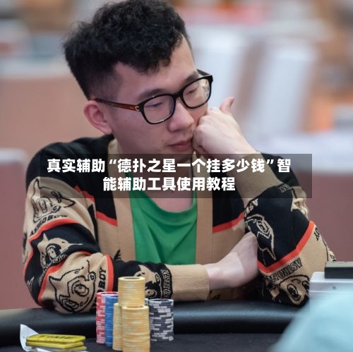 真实辅助“德扑之星一个挂多少钱”智能辅助工具使用教程