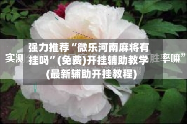 强力推荐“微乐河南麻将有挂吗”(免费)开挂辅助教学(最新辅助开挂教程)
