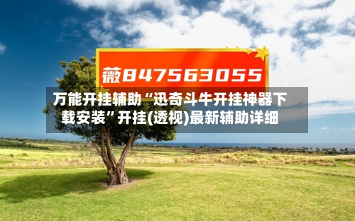 万能开挂辅助“迅奇斗牛开挂神器下载安装”开挂(透视)最新辅助详细