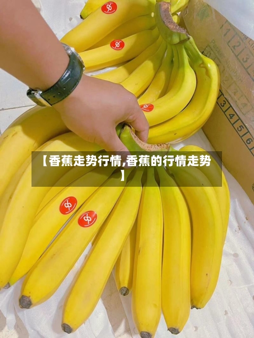 【香蕉走势行情,香蕉的行情走势】