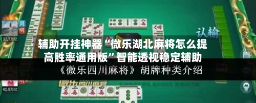 辅助开挂神器“微乐湖北麻将怎么提高胜率通用版”智能透视稳定辅助
