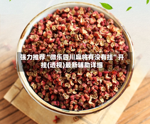 强力推荐“微乐四川麻将有没有挂”开挂(透视)最新辅助详细