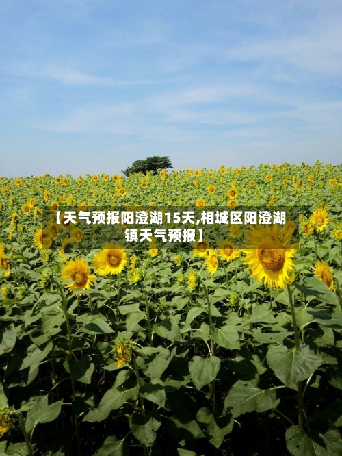 【天气预报阳澄湖15天,相城区阳澄湖镇天气预报】