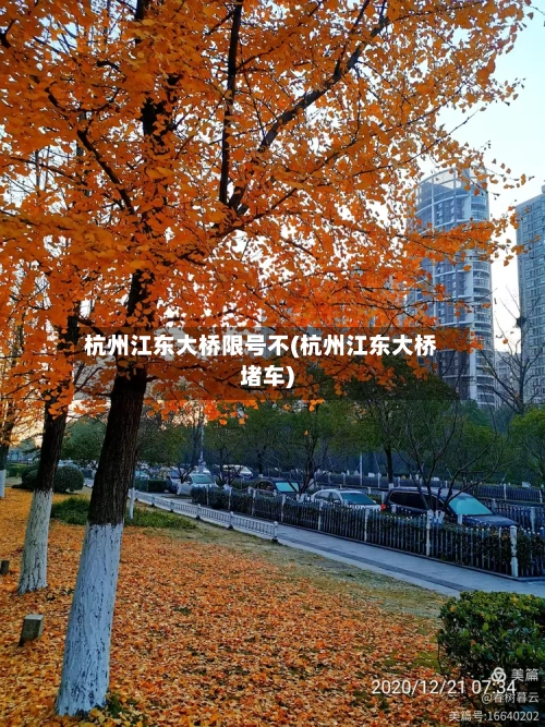 杭州江东大桥限号不(杭州江东大桥堵车)