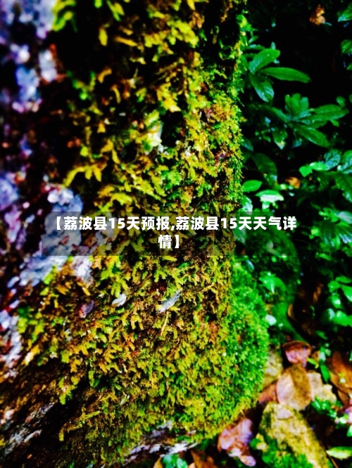 【荔波县15天预报,荔波县15天天气详情】